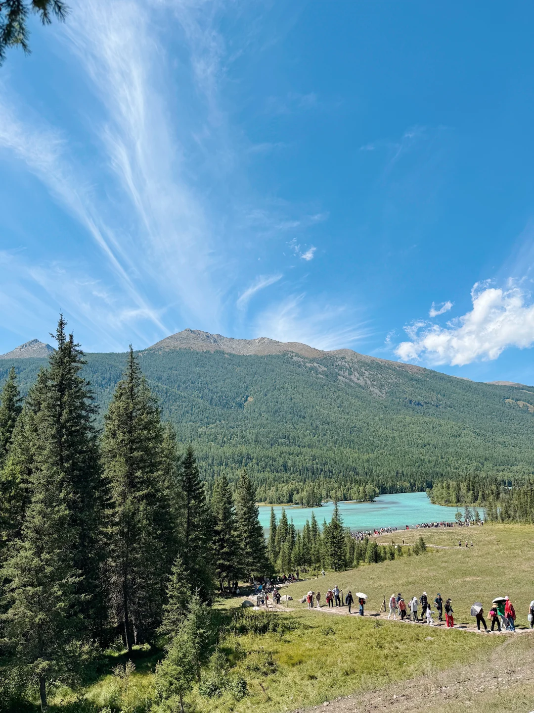 也没人说喀纳斯这么好拍啊🤳🤫美哭我了！