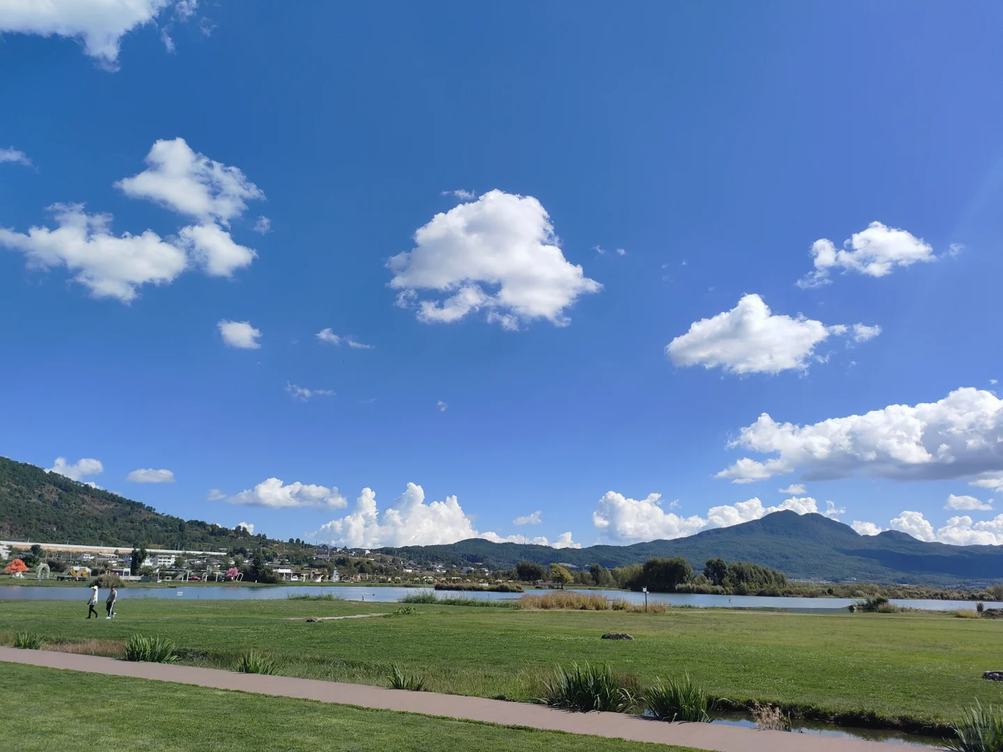 拉市海候鸟湾湿地，丽江的治愈系秘境