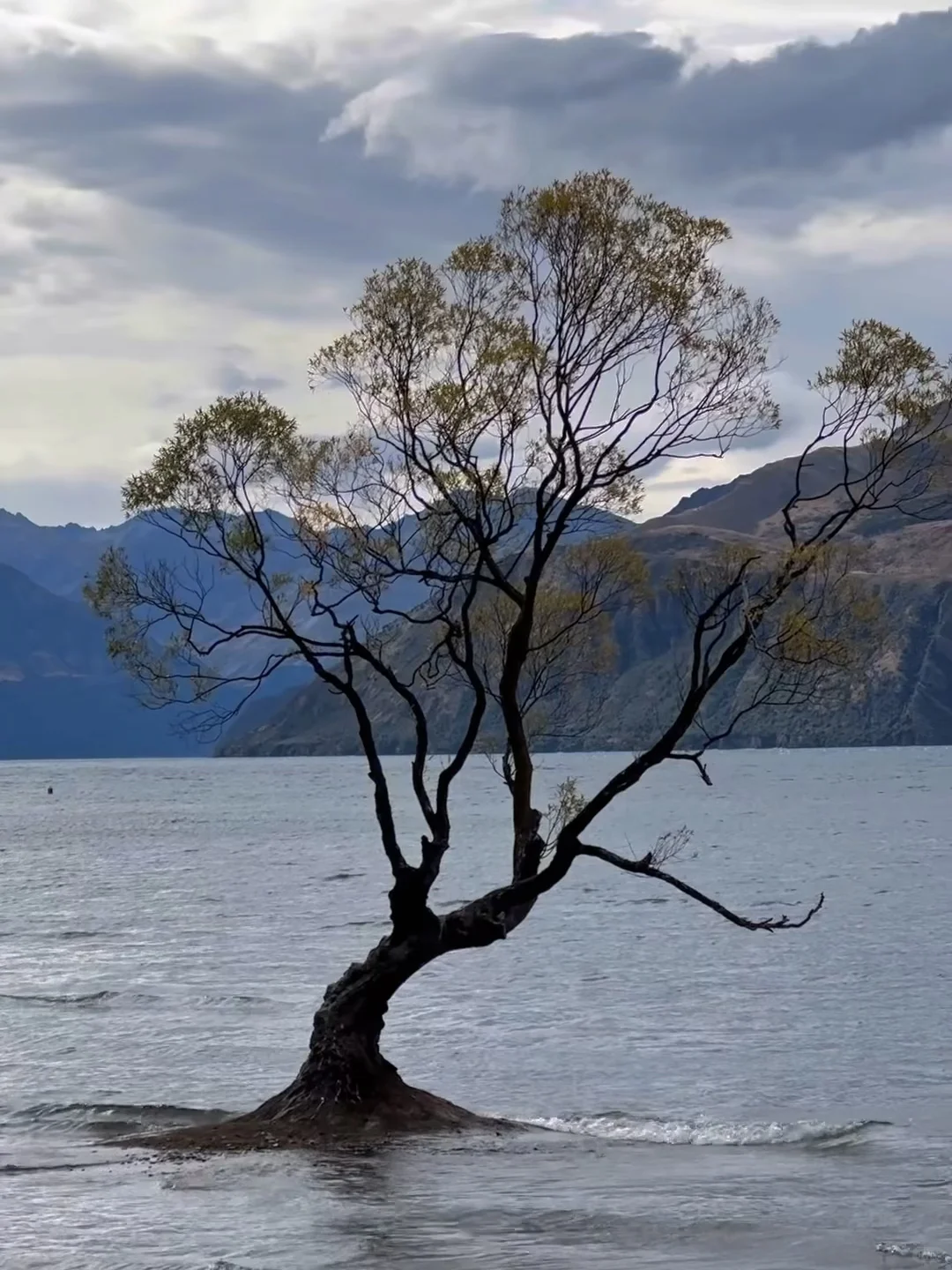 旅行结算｜我的年度live图