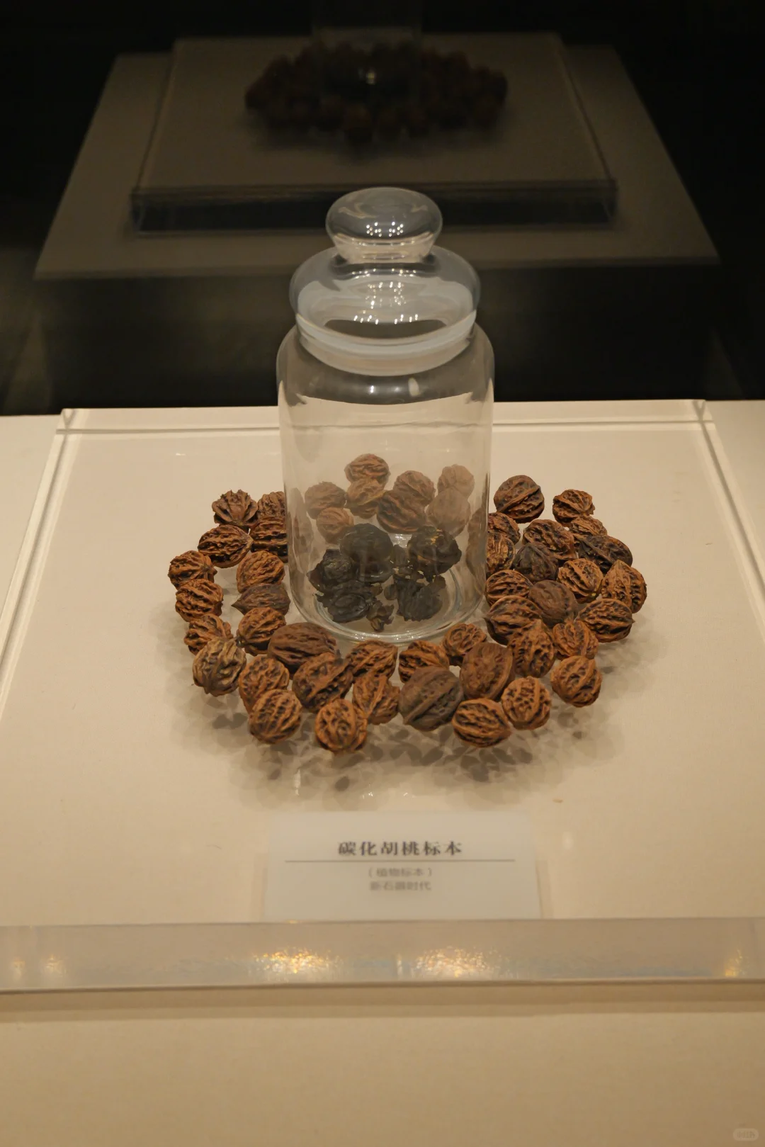 邯郸·中国磁山文化遗址博物馆