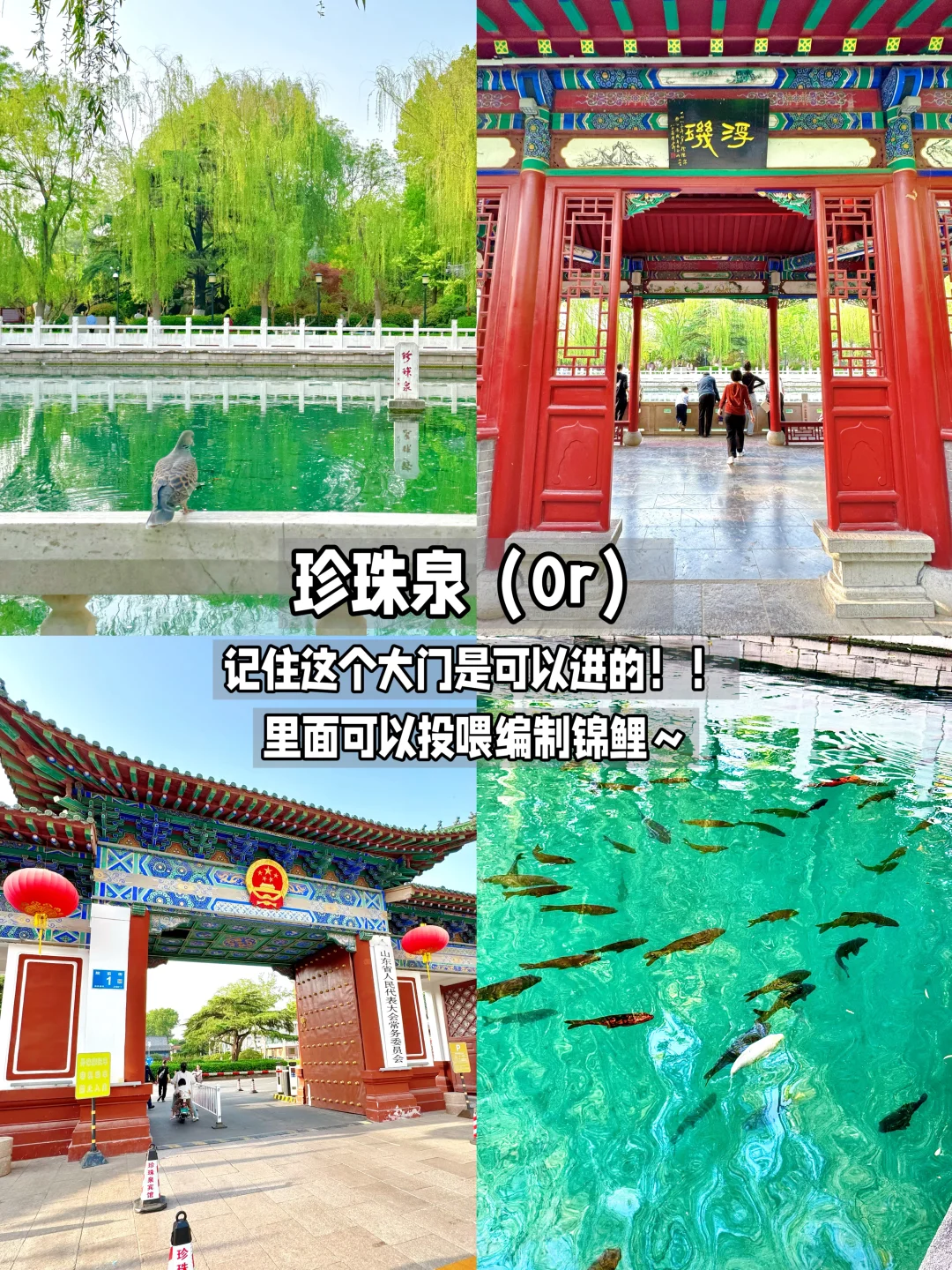 济南两天一夜不走回头路!保姆级攻略…✔️