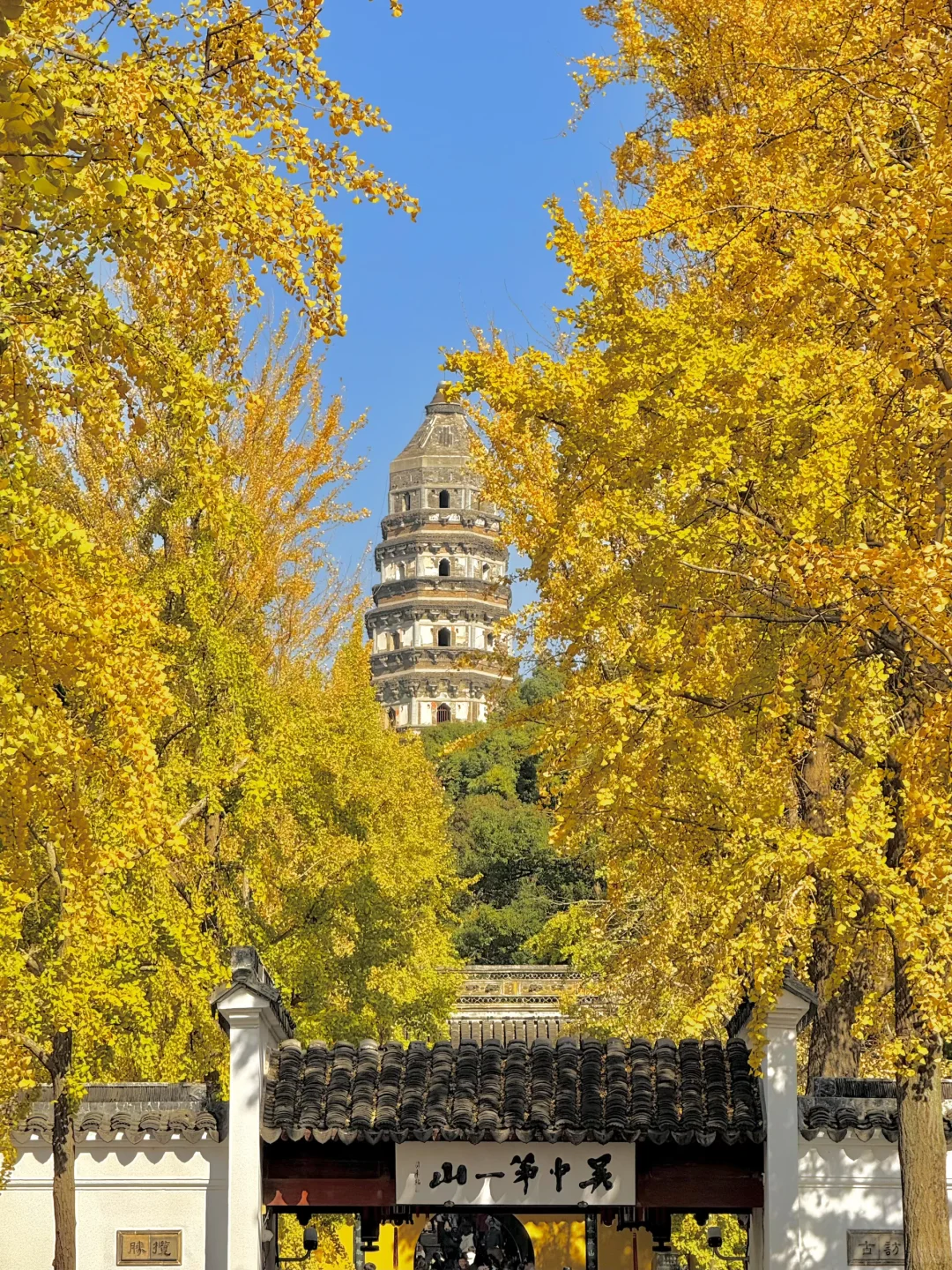 18张live图🍁告诉你苏州秋天有多美！！！！！！！