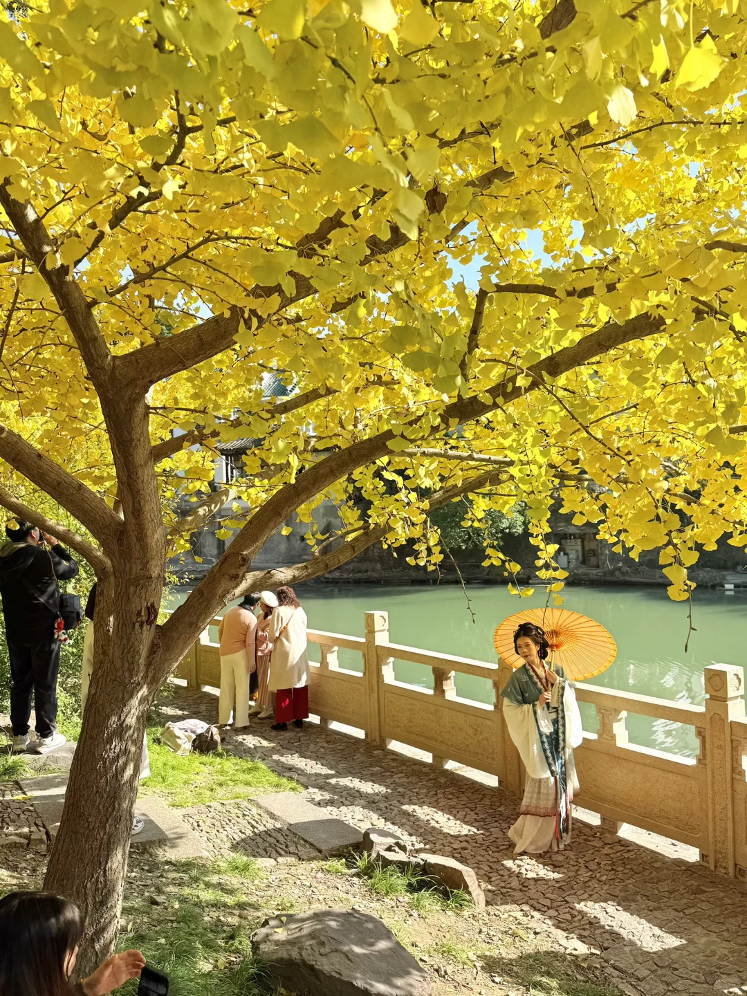 18张live图🍁告诉你苏州秋天有多美！！！！！！！