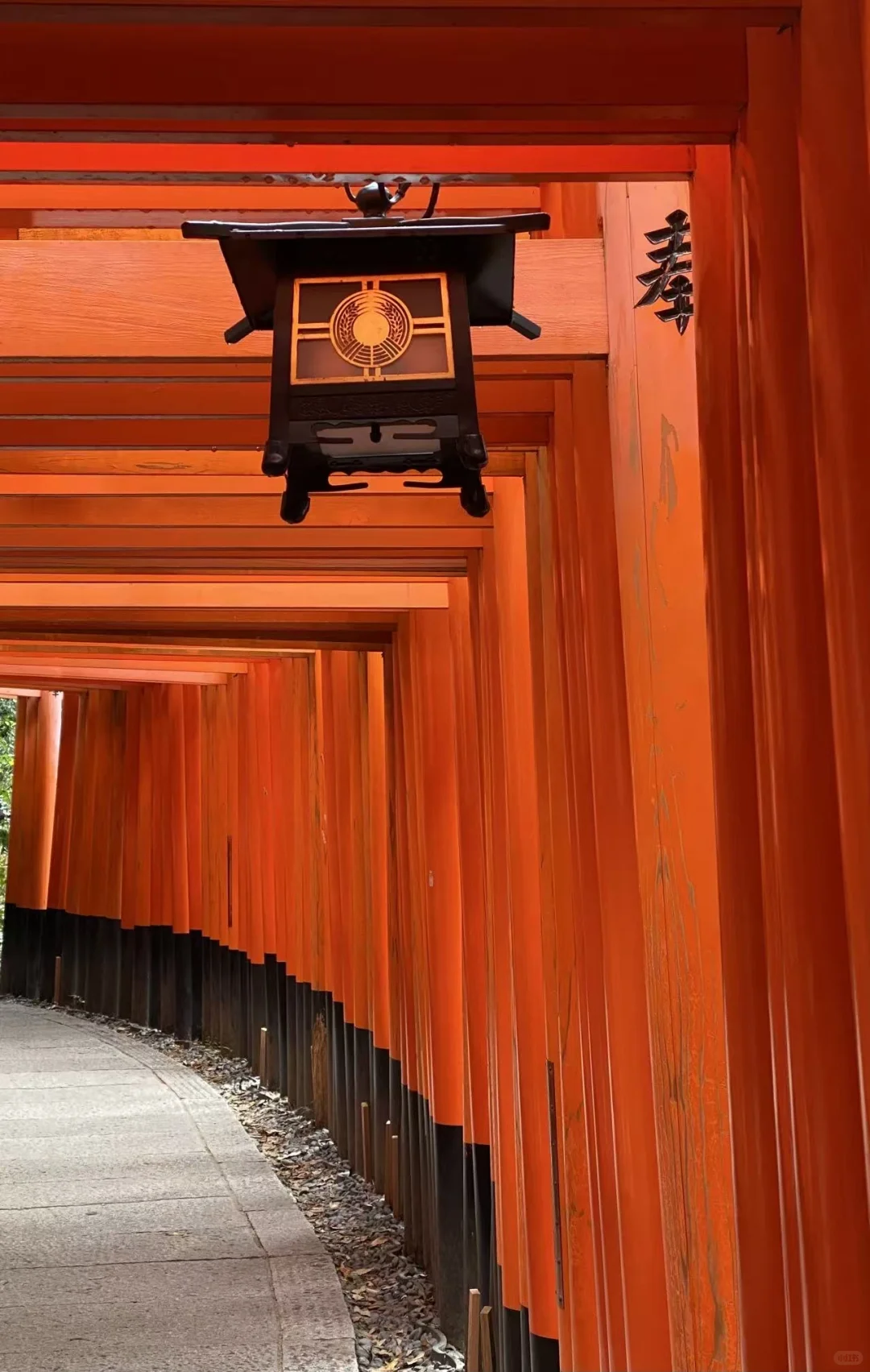 🍁京都红叶季要来了|秋天限定的京都!