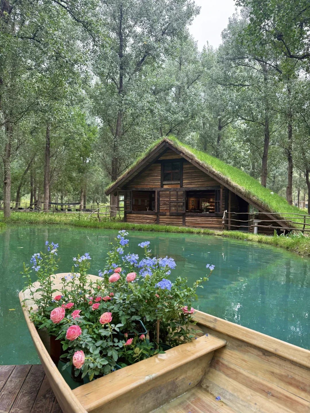 好像在河北遇到了绿光森林🍃