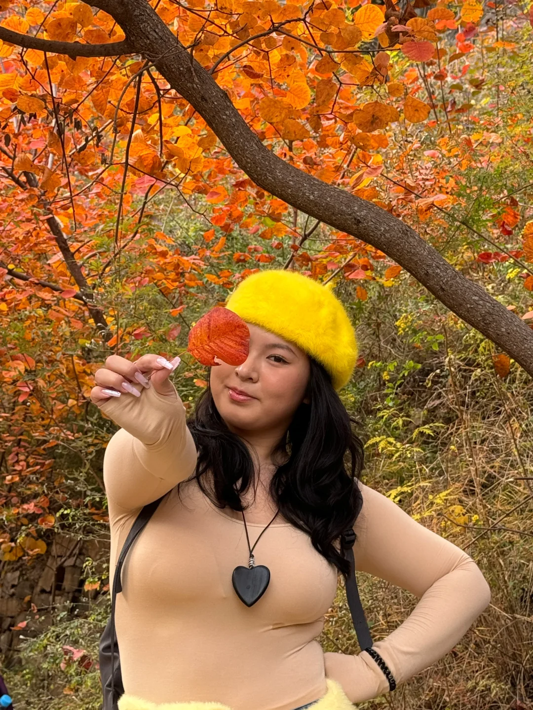 邯郸周边｜赏秋好去处，红叶满山🍁