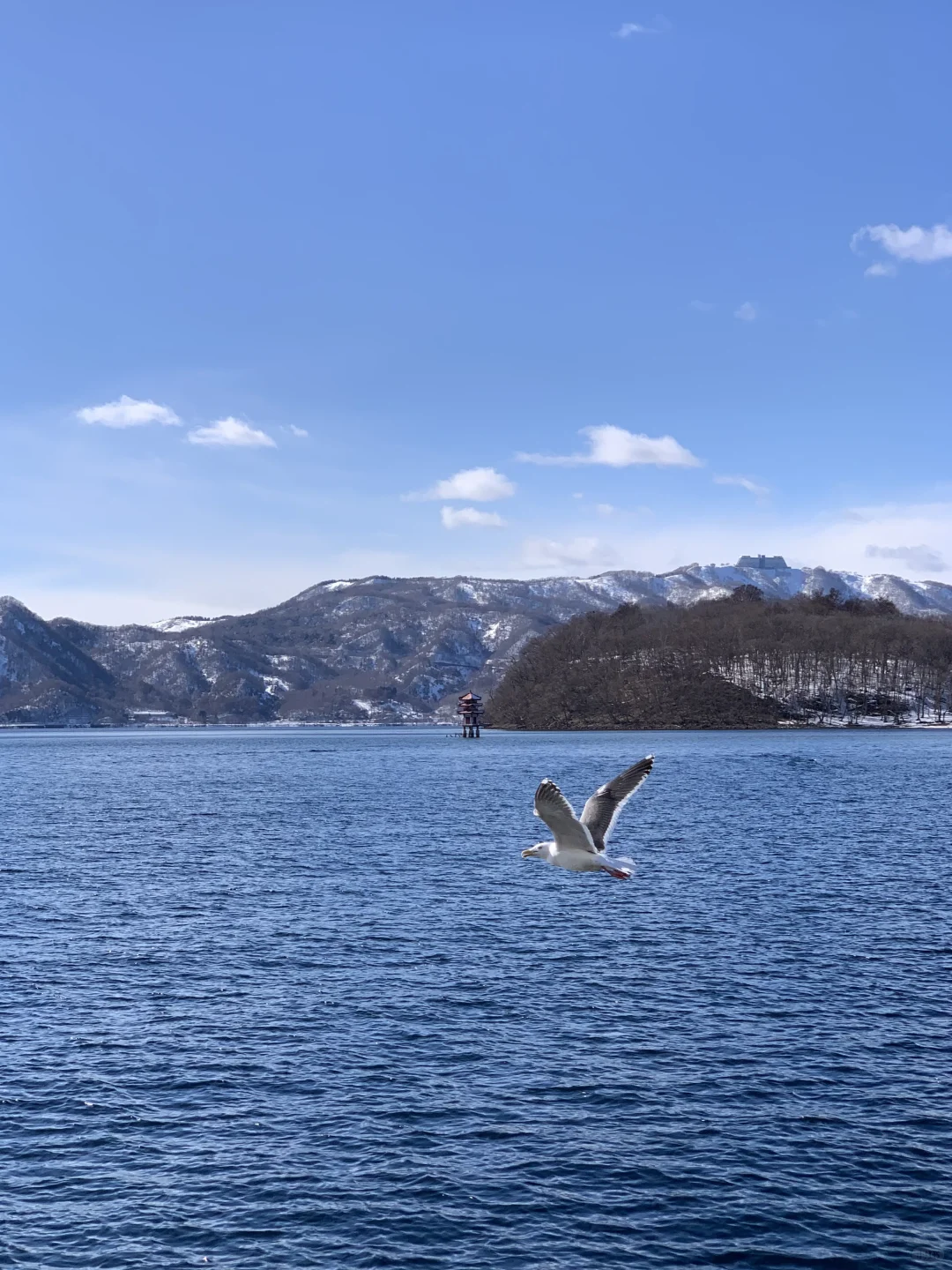 去北海道一定要去！！！！！！