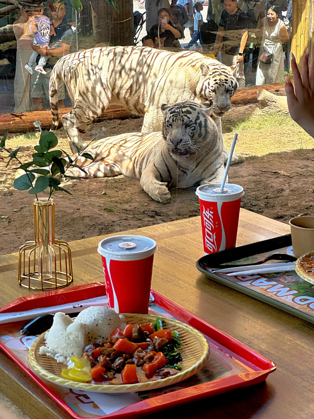 发朋友圈被问爆‼️真不是国外,在河南‼️