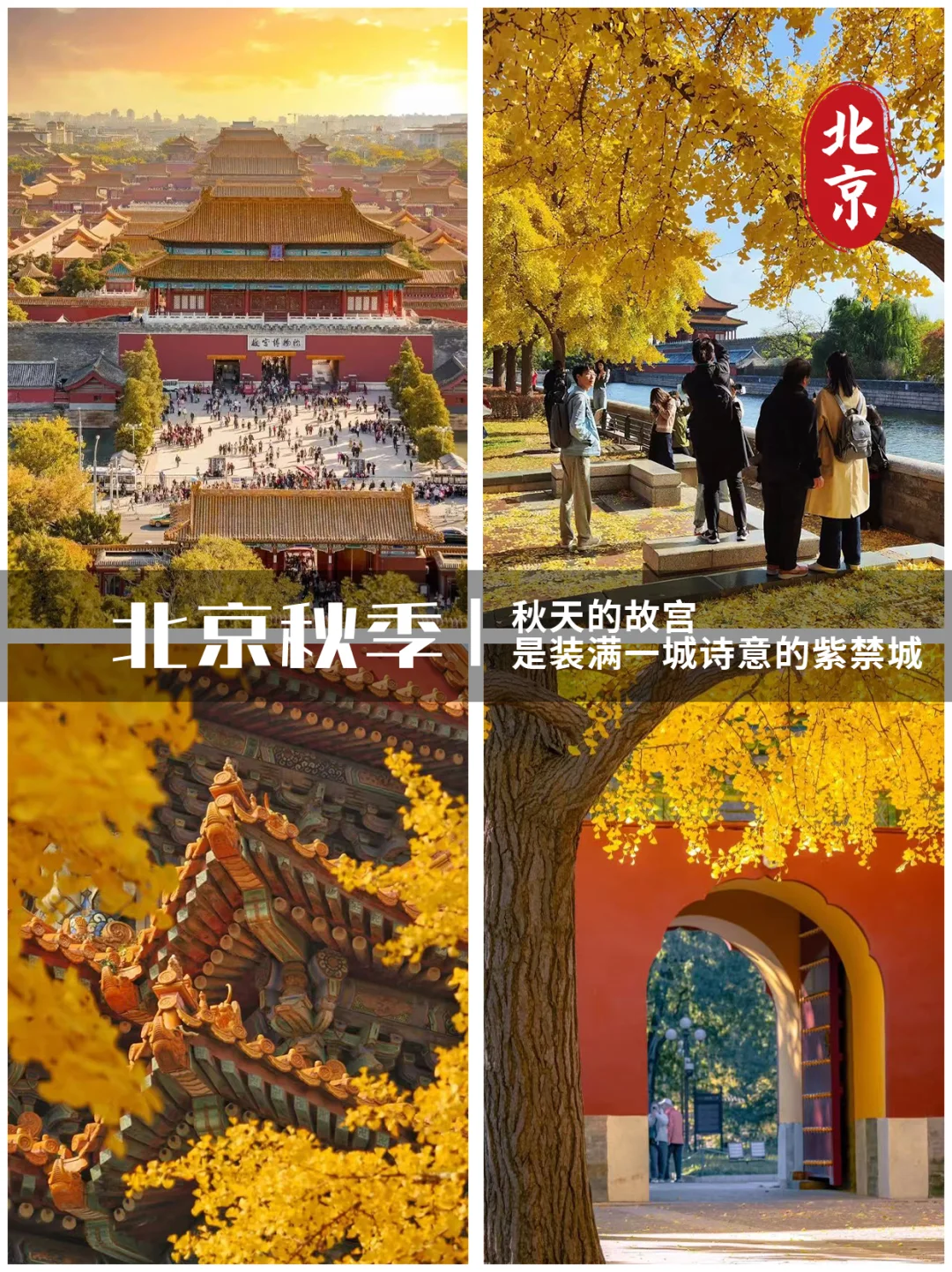 浙江秋假旅游目的地推荐！🔥