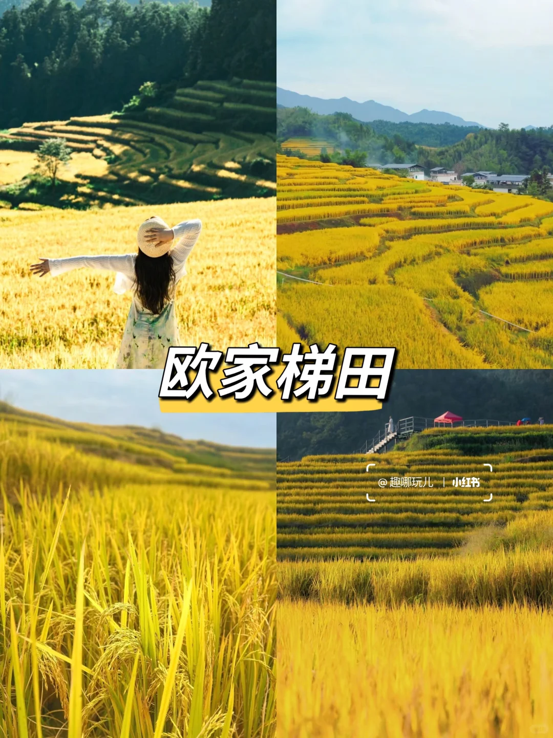 清远秋日旅行攻略：寻银杏、访瑶寨、赏梯田