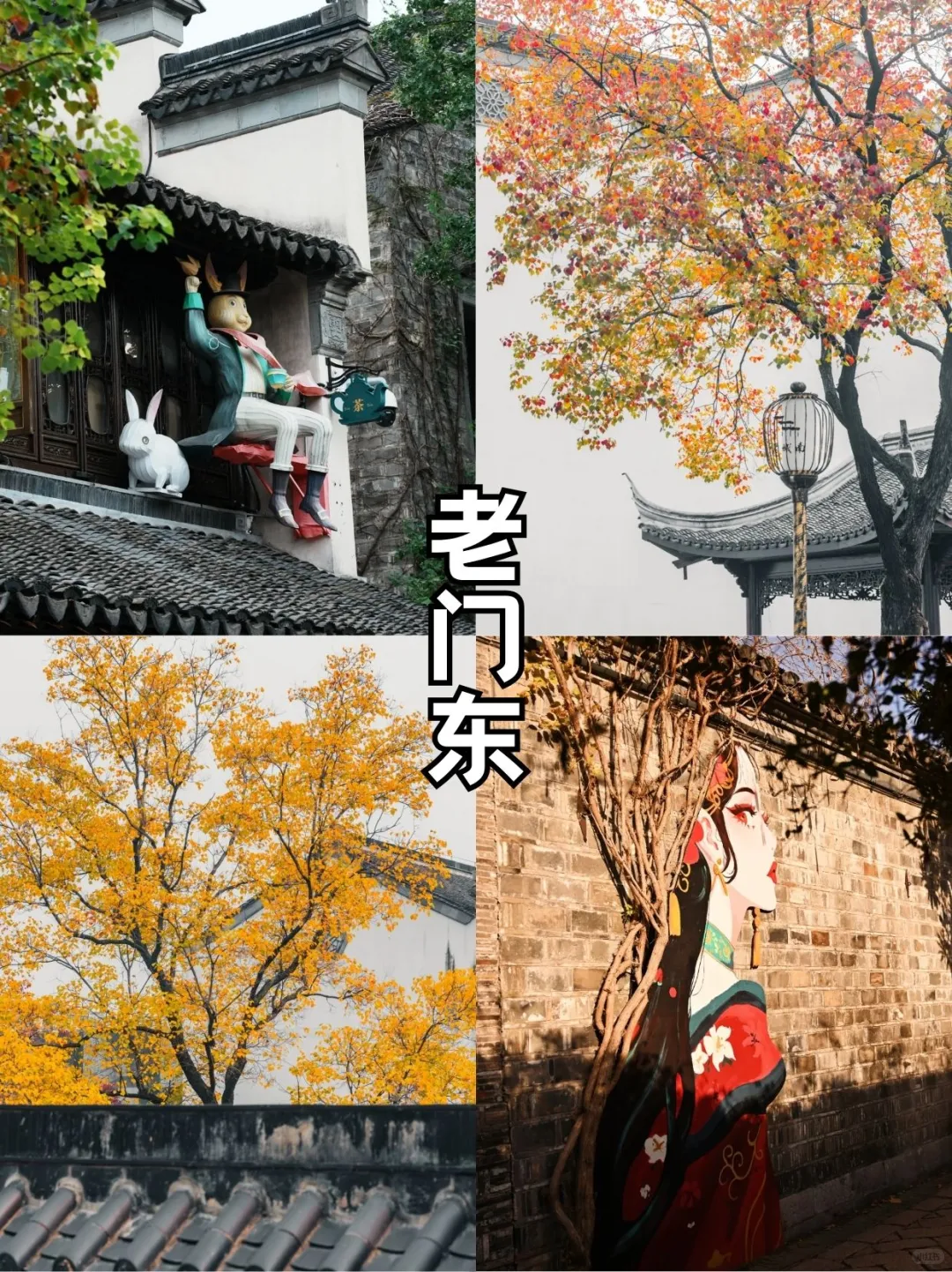 秋日金陵限定美景，错过再等一年！