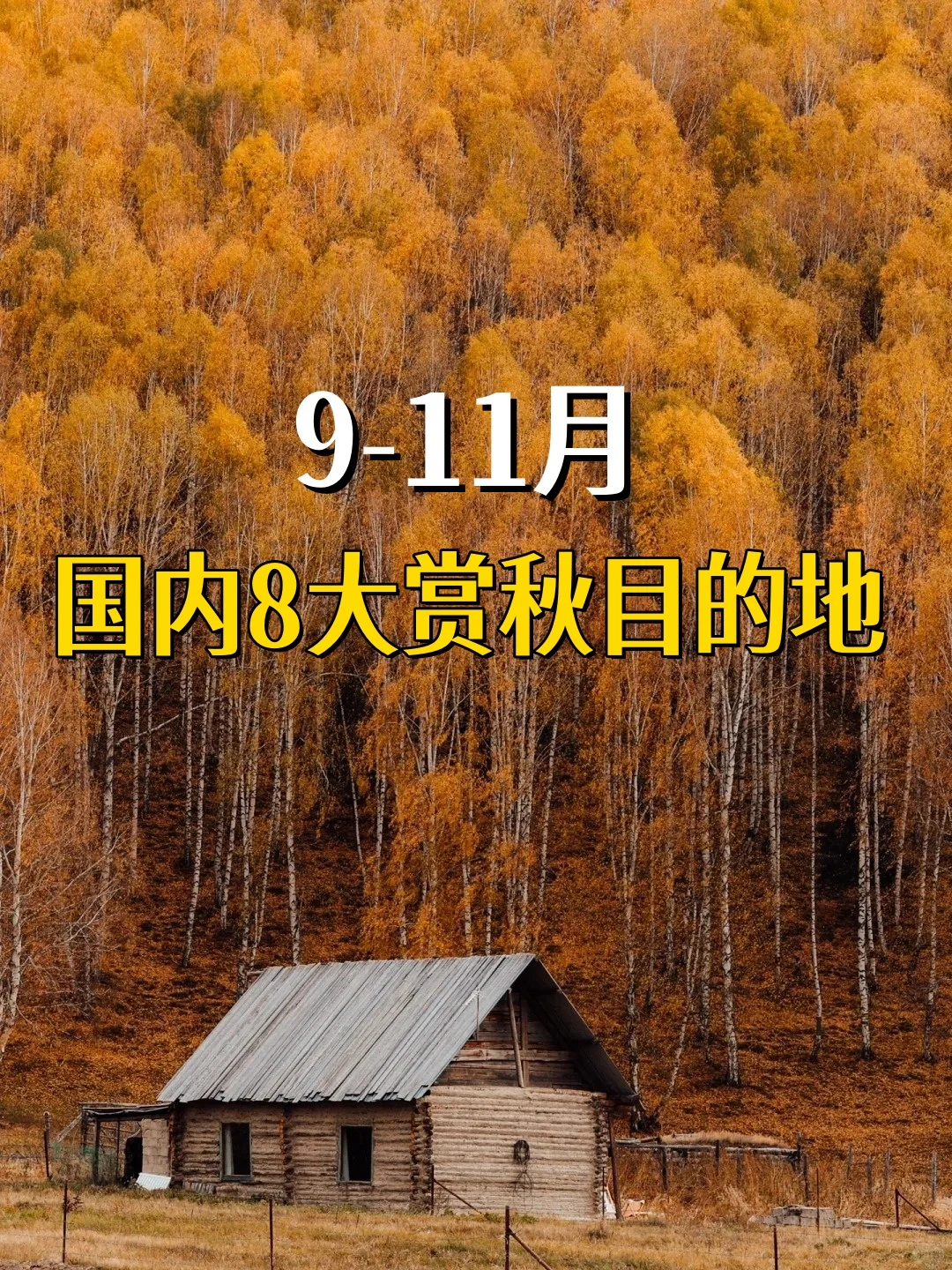 一生必去❗️国内8⃣大超美赏秋目的地