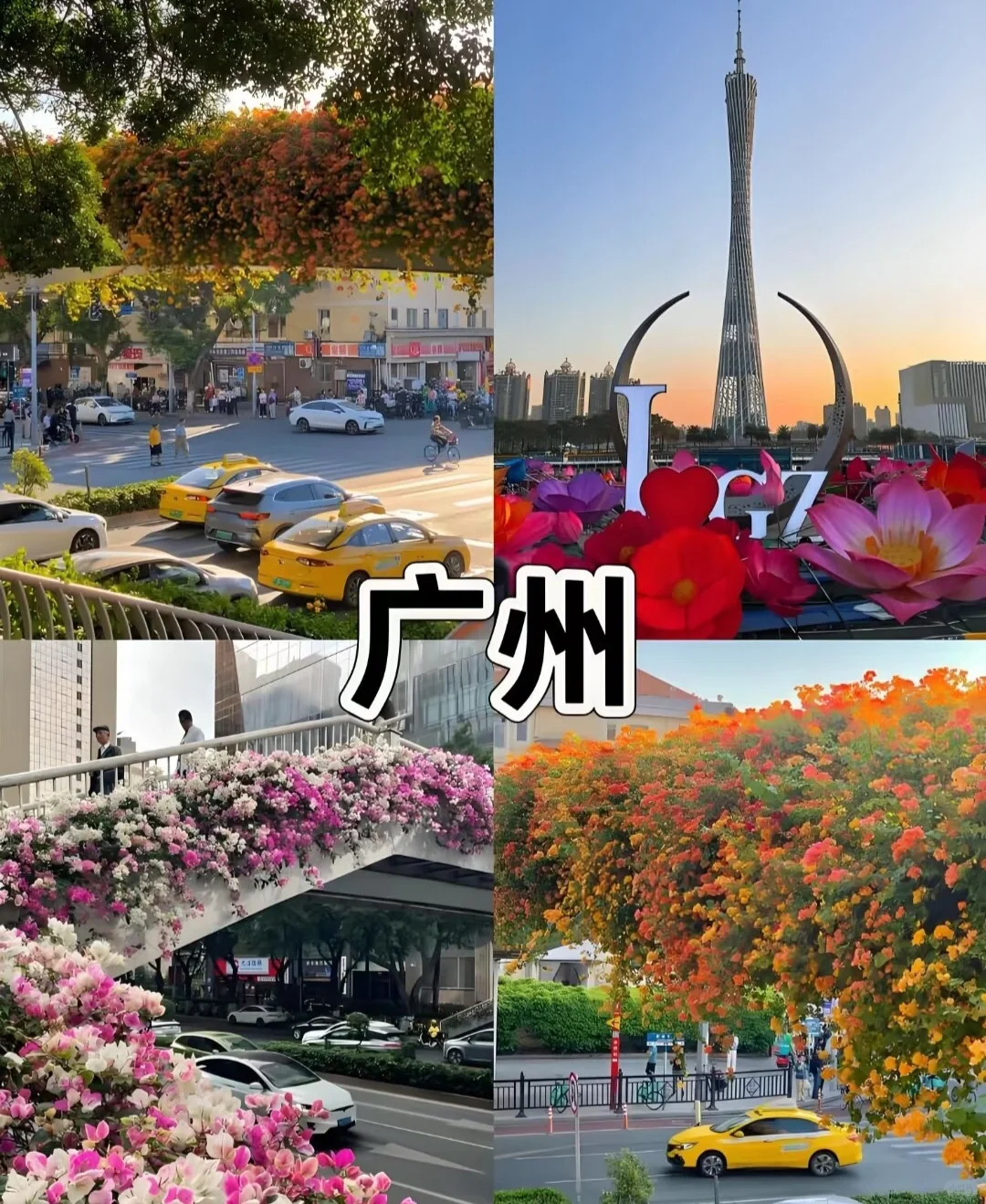 宝藏旅行地看过来👀