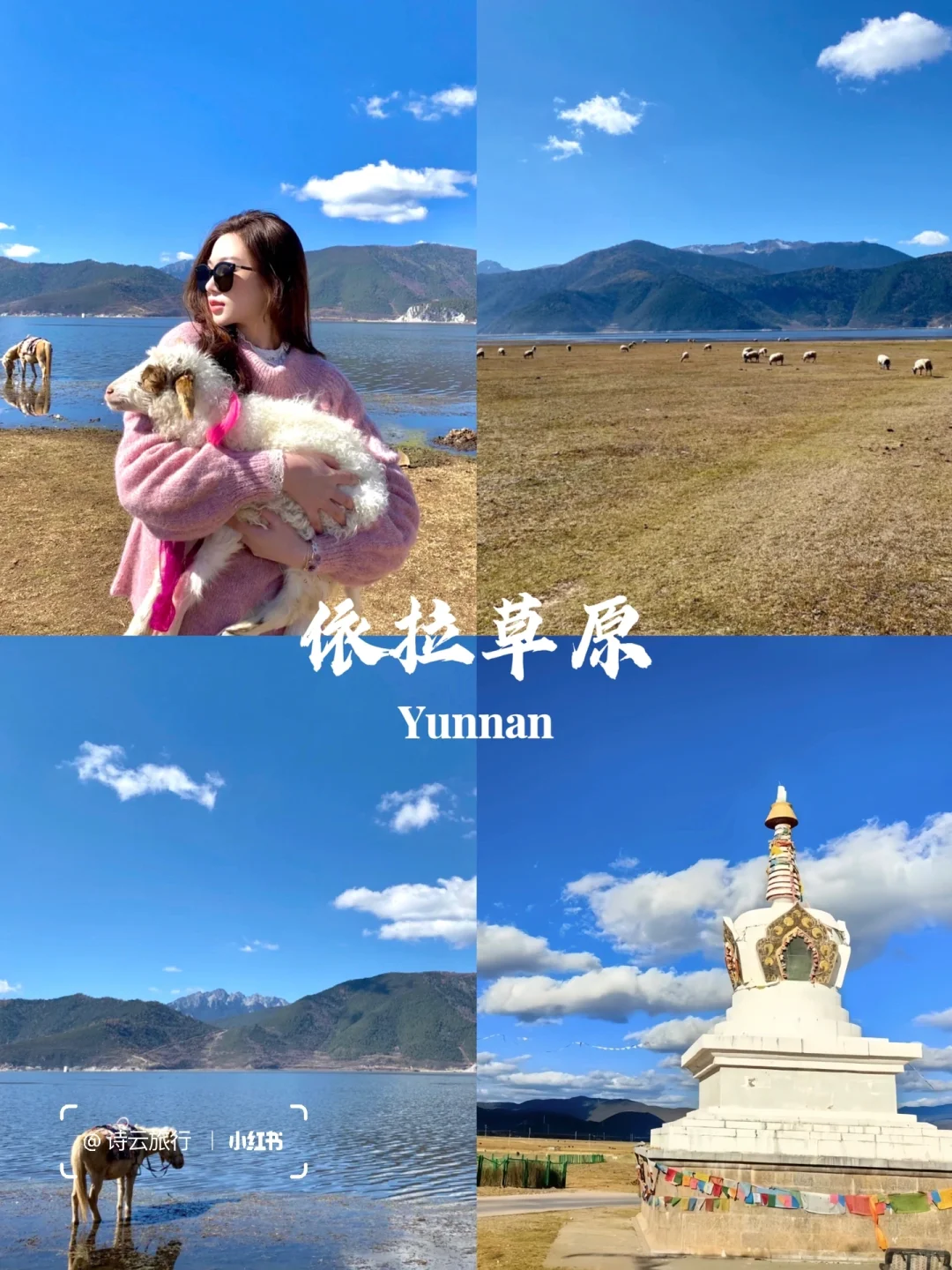 快来云南🔥七天花了1880💰包吃包玩包省心！