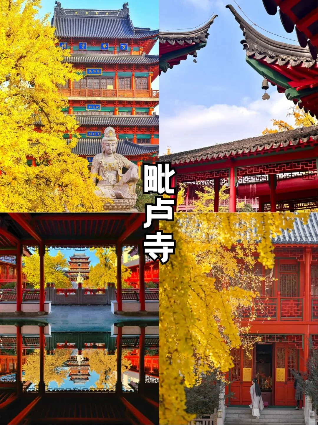 秋日金陵限定美景,错过再等一年!