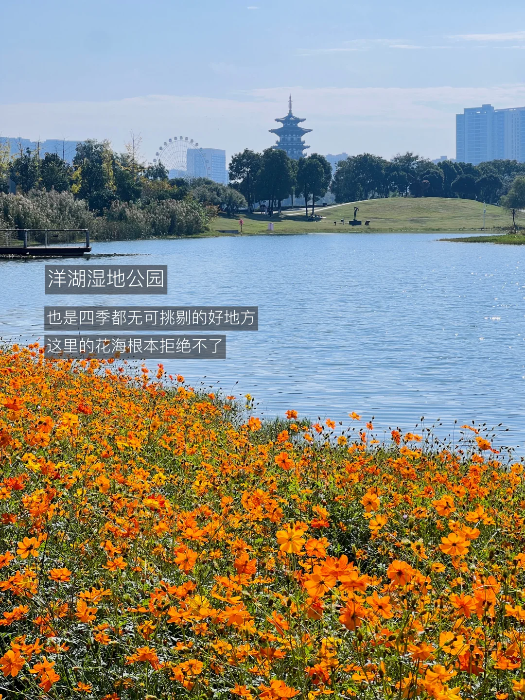 长沙最好的地方都是免费的…