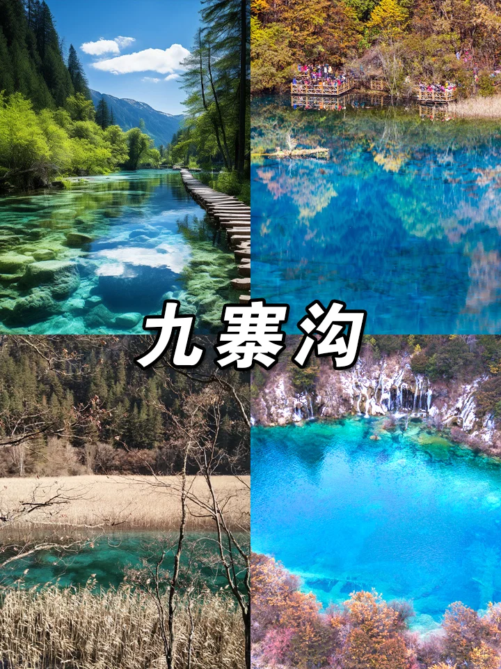 四川旅游怎么玩❓必去景点推荐🔥