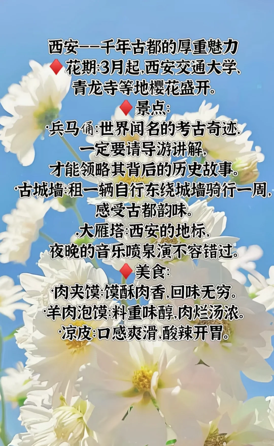 宝藏旅行地看过来👀