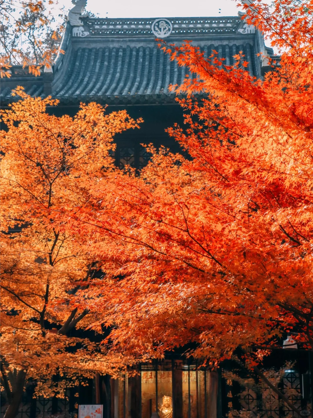 接下来南京栖霞山,将是国内赏秋天花板!