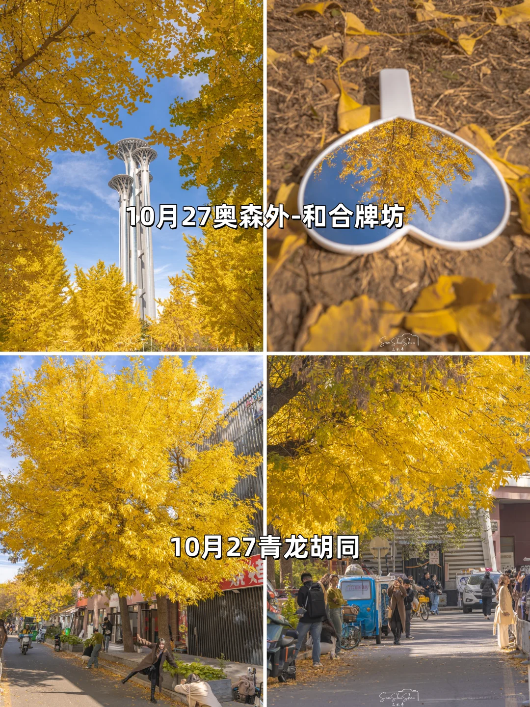 安排一个月！北京赏秋时间顺序与机位大全❤