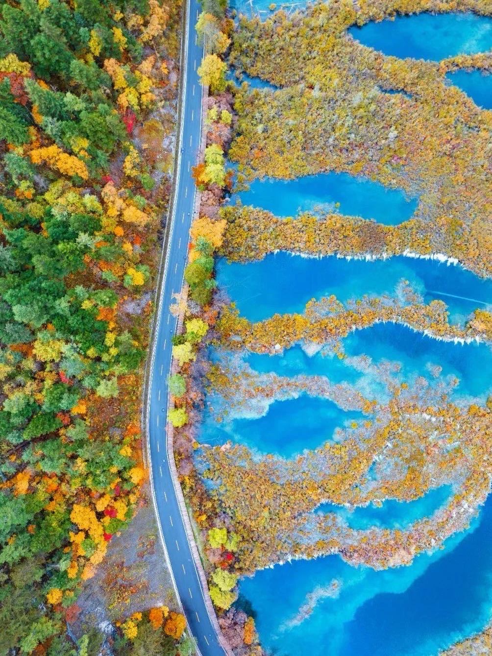 九寨沟不只有九寨沟!4天3晚深度游攻略来了