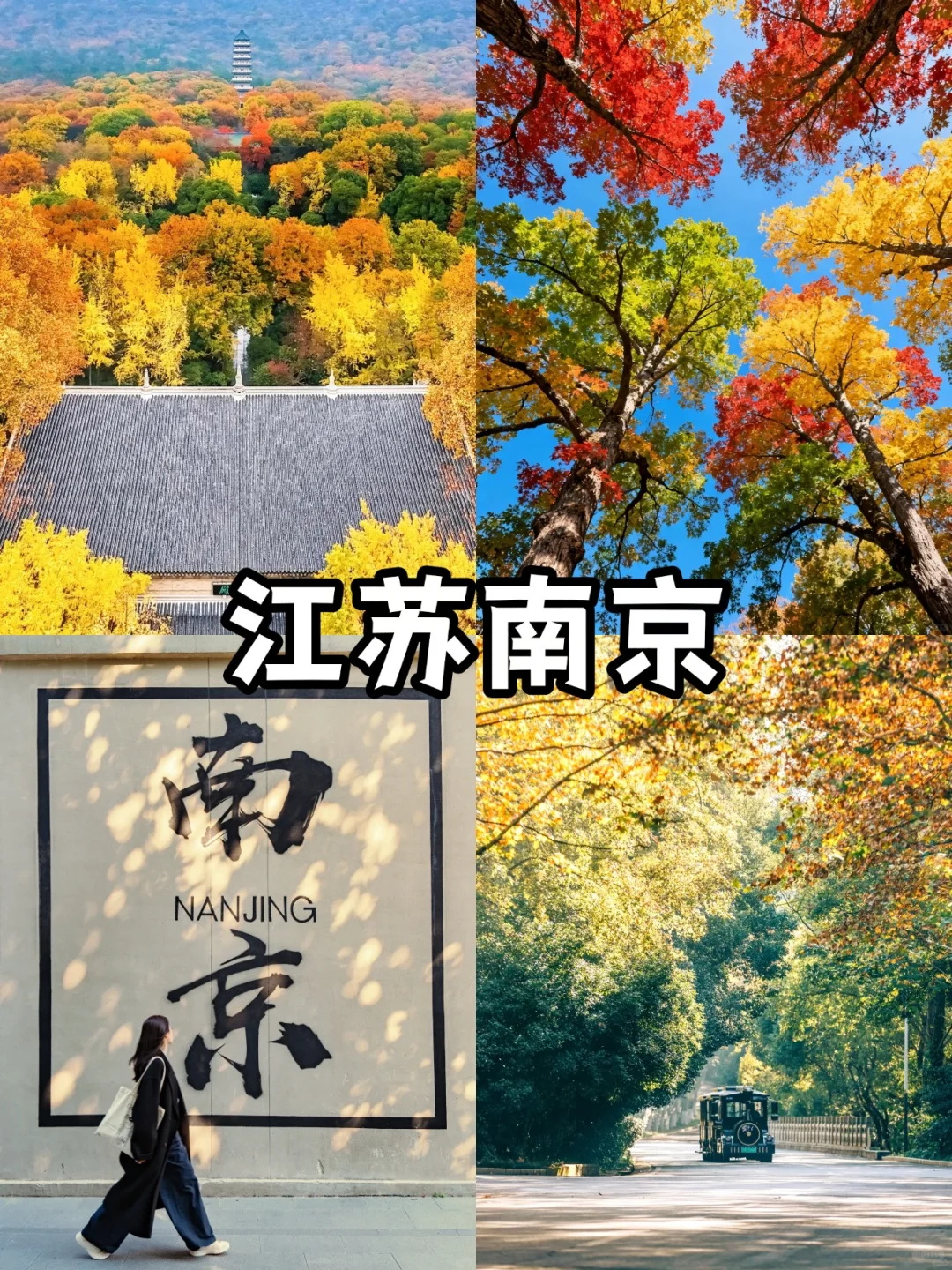 🔥秋冬旅游｜国内必打卡9大旅行地！