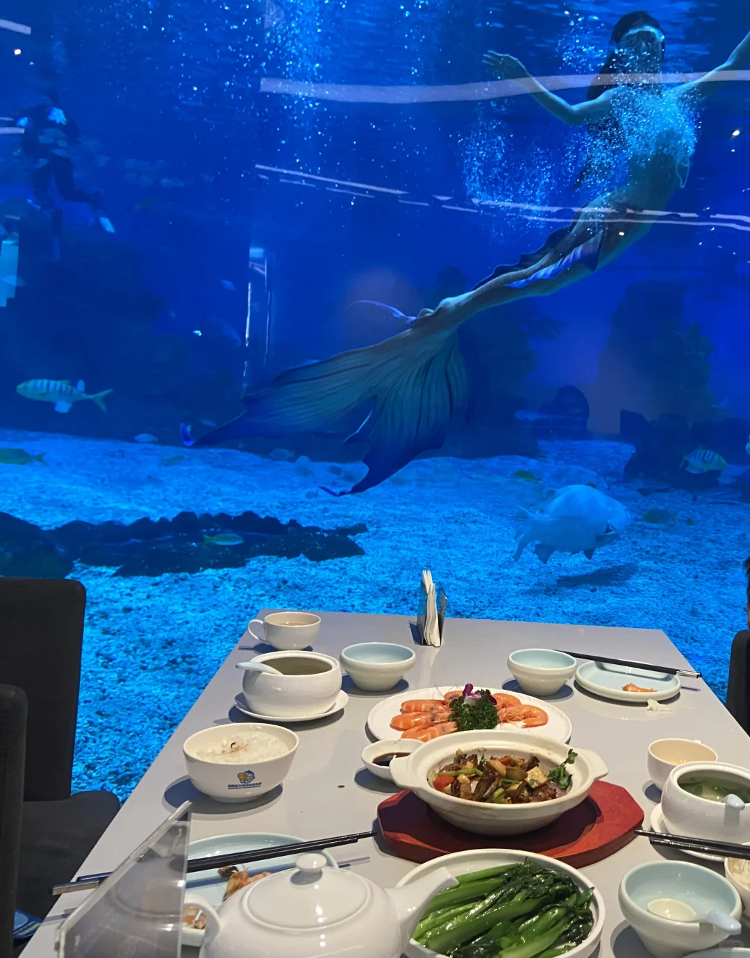 越旅行越没劲