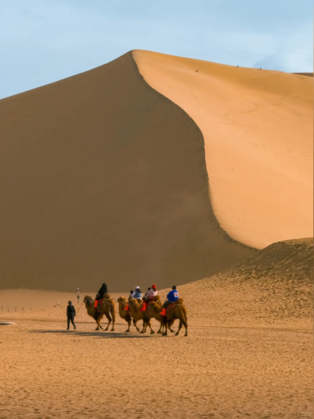 丝路梦享号4天3晚🔥坐火车躺玩大西北!