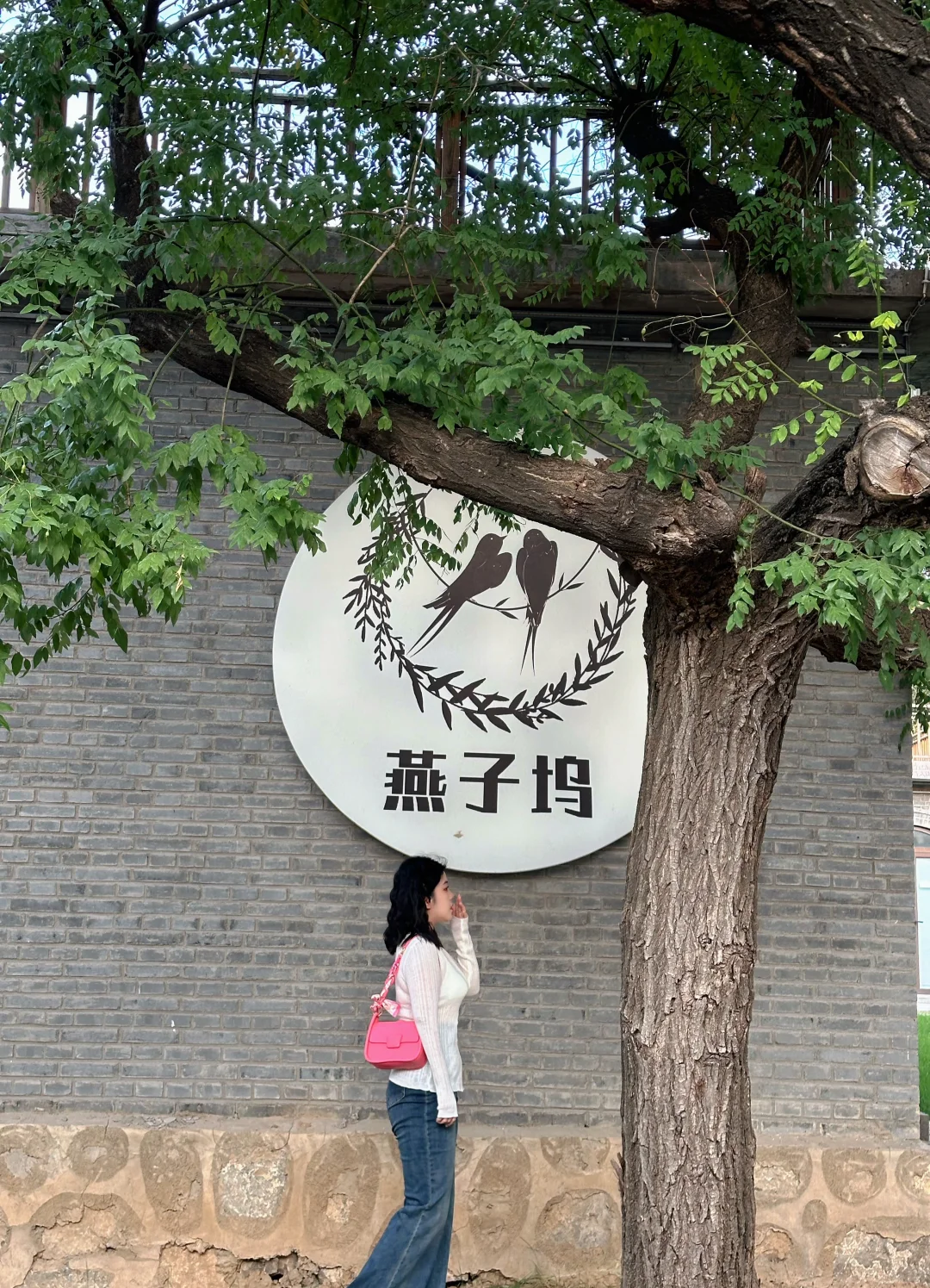 峰峰张家楼艺术公社