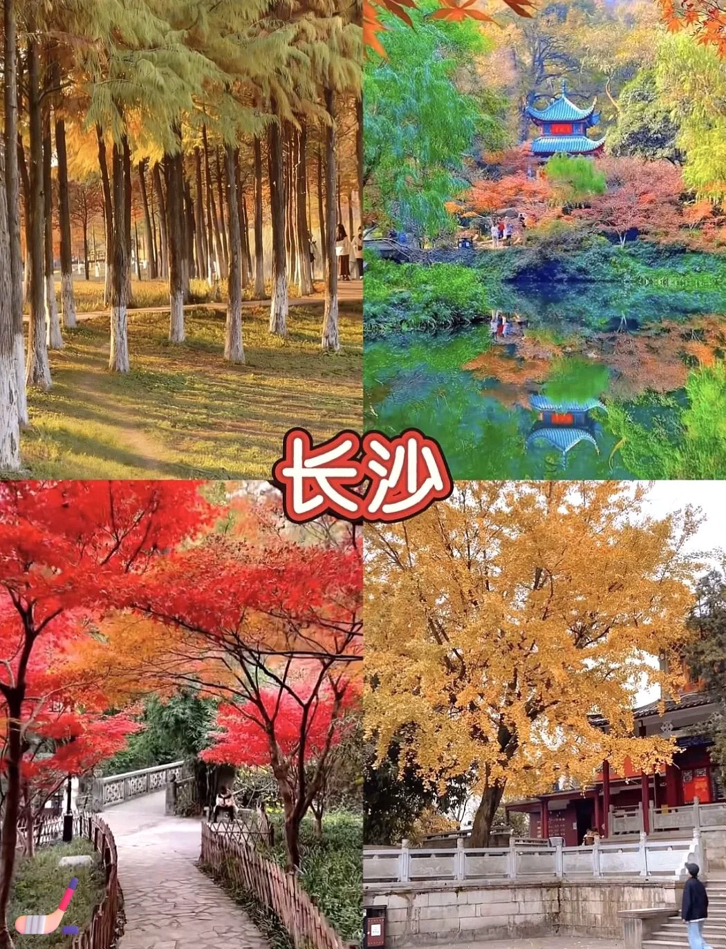 九月十月出游必冲的8个宝藏城市！