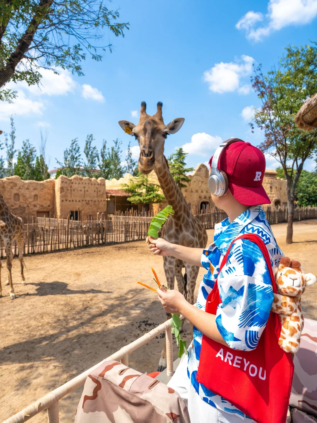 发朋友圈被问爆‼️真不是国外,在河南‼️