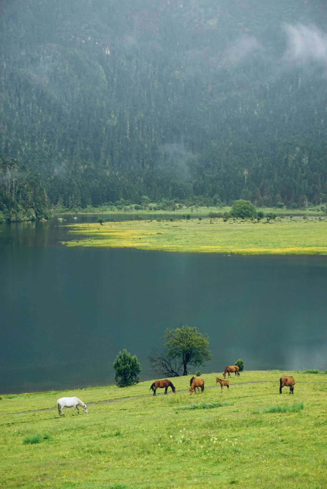 国庆假期锁定无底湖!人均100+往返香格里拉