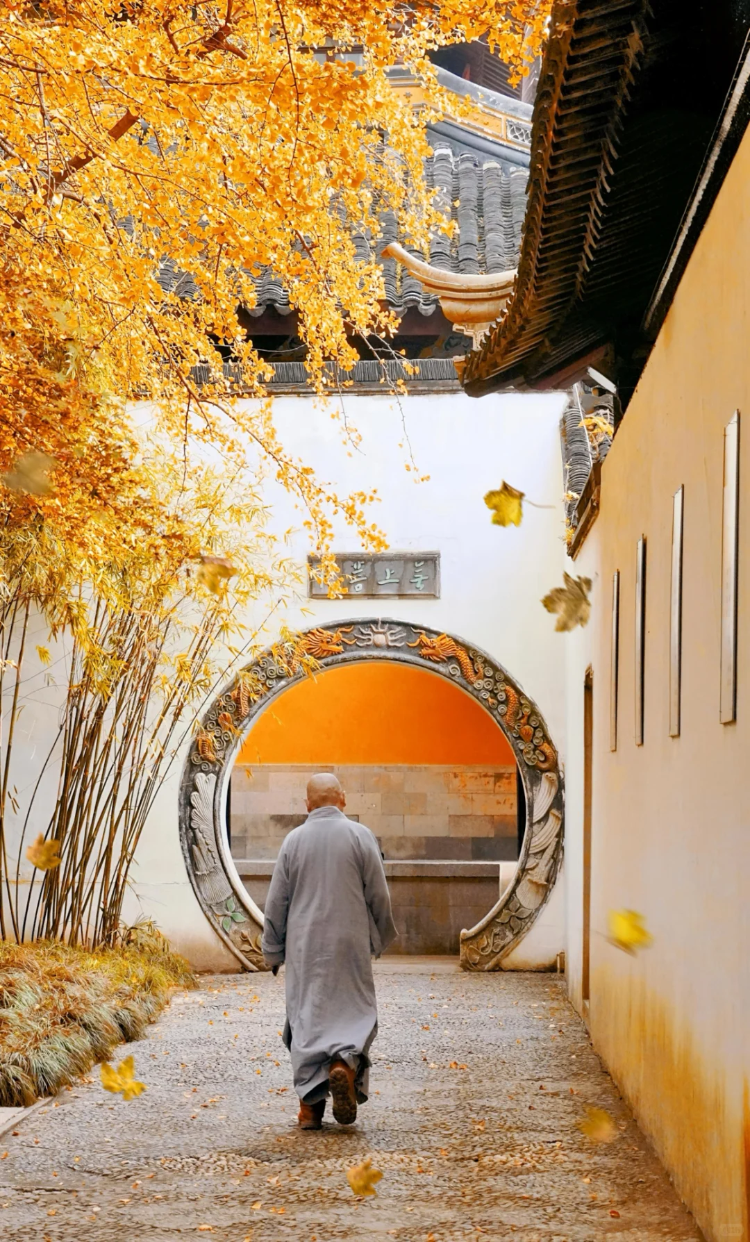 秋天的苏州就是江南旅游的天花板❗️不服来辩