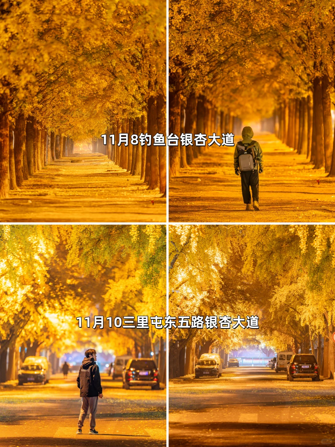 安排一个月！北京赏秋时间顺序与机位大全❤