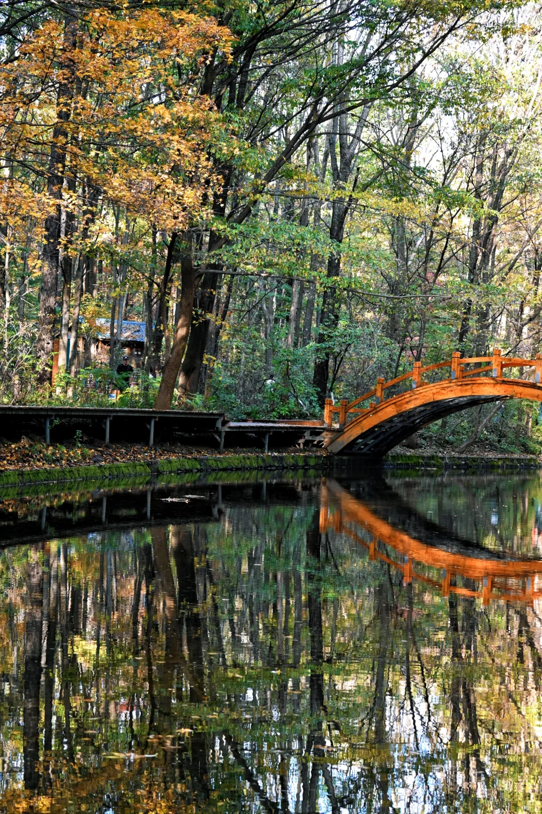 吉林通化龙湾景区游记