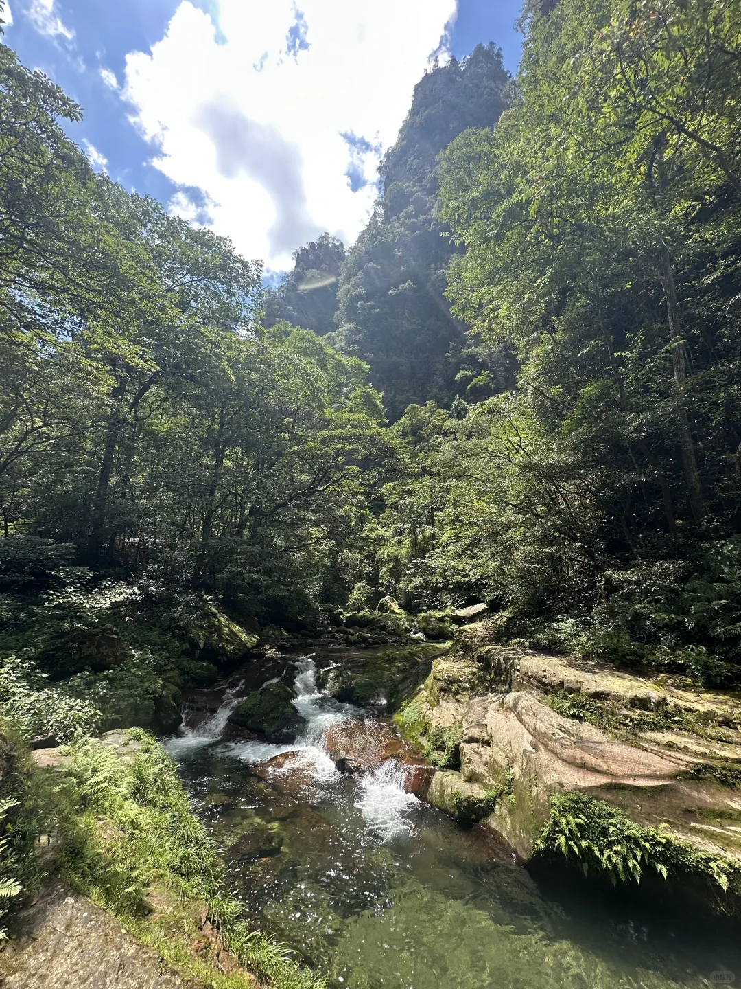 武陵源景区，最好玩的还是金鞭溪！