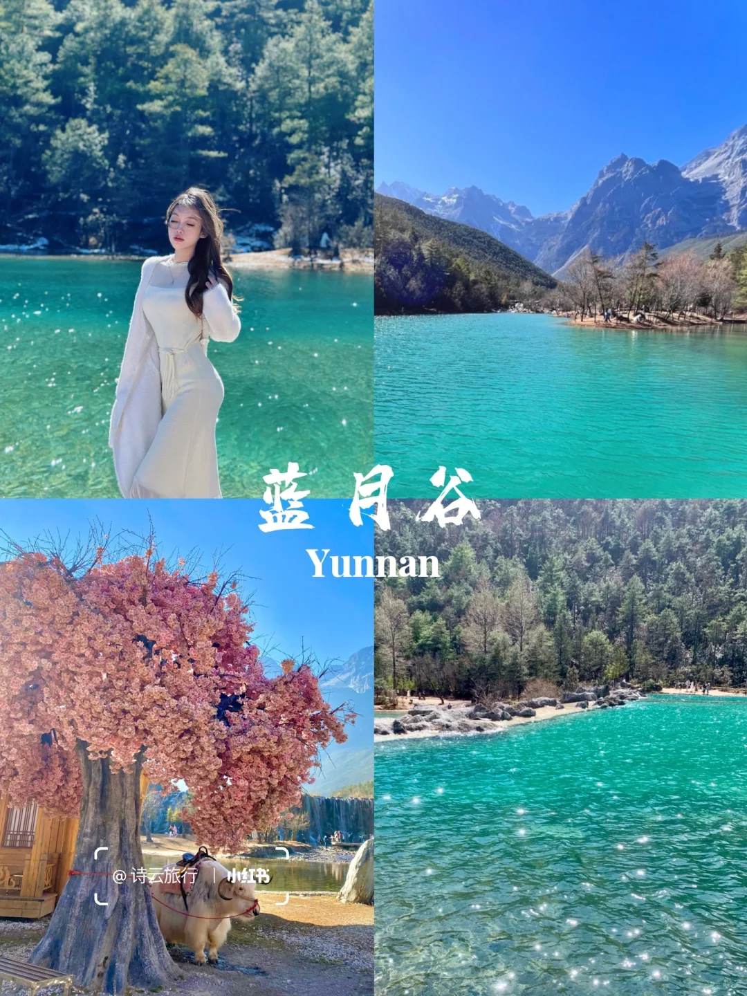 快来云南🔥七天花了1880💰包吃包玩包省心！