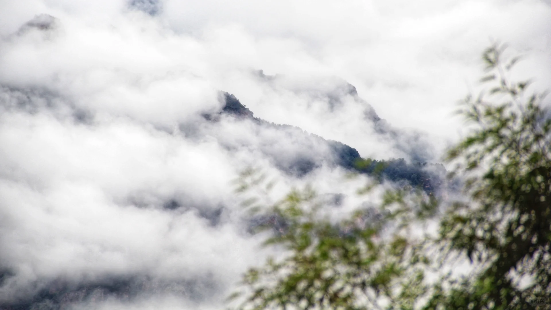 偶遇仙山