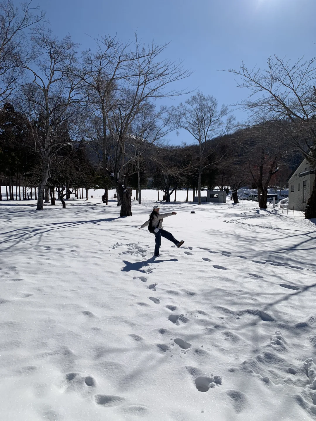 去北海道一定要去！！！！！！