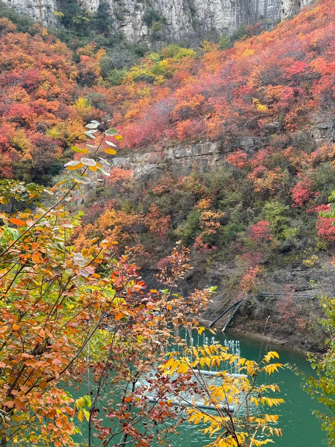 邯郸周边｜赏秋好去处，红叶满山🍁