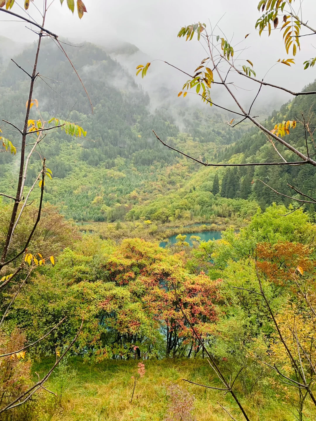 10.20📍九寨沟现状，已崩溃😫真心建议慎重。。