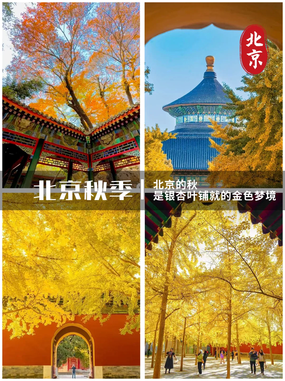 浙江秋假旅游目的地推荐！🔥