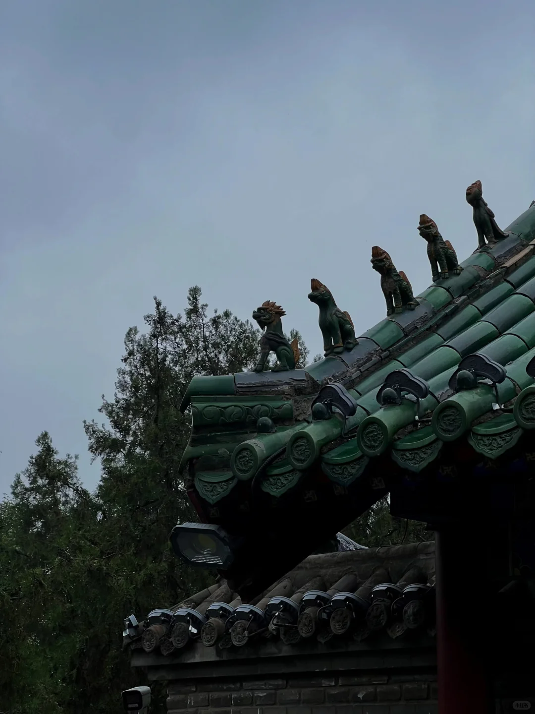 邯郸丛台| 🌧️雨水洗过的古台也太绝了吧！
