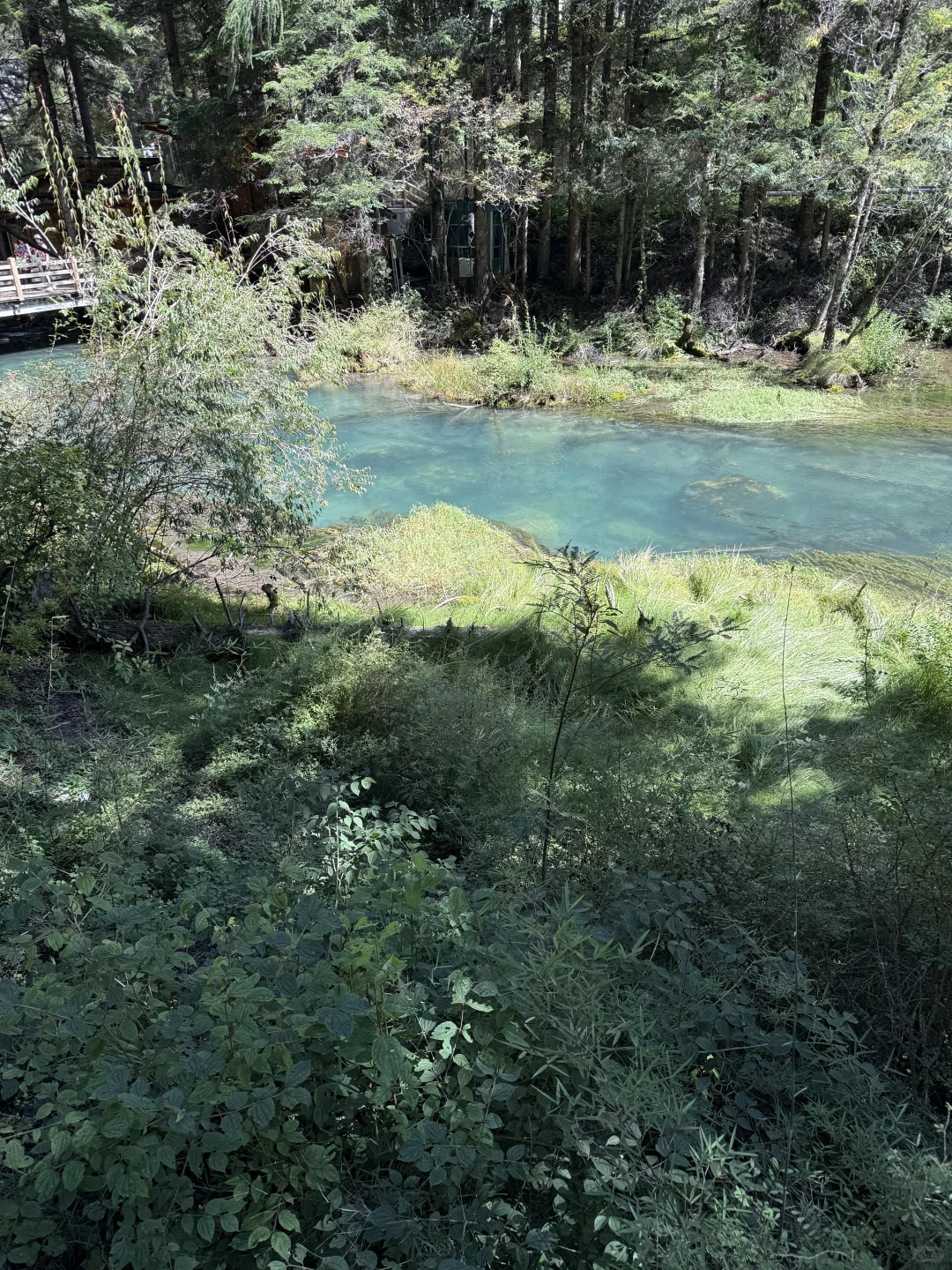 九寨沟刚回，不舍弃几个海子真不行