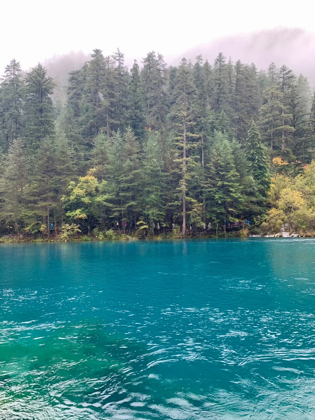 10.20📍九寨沟现状，已崩溃😫真心建议慎重。。