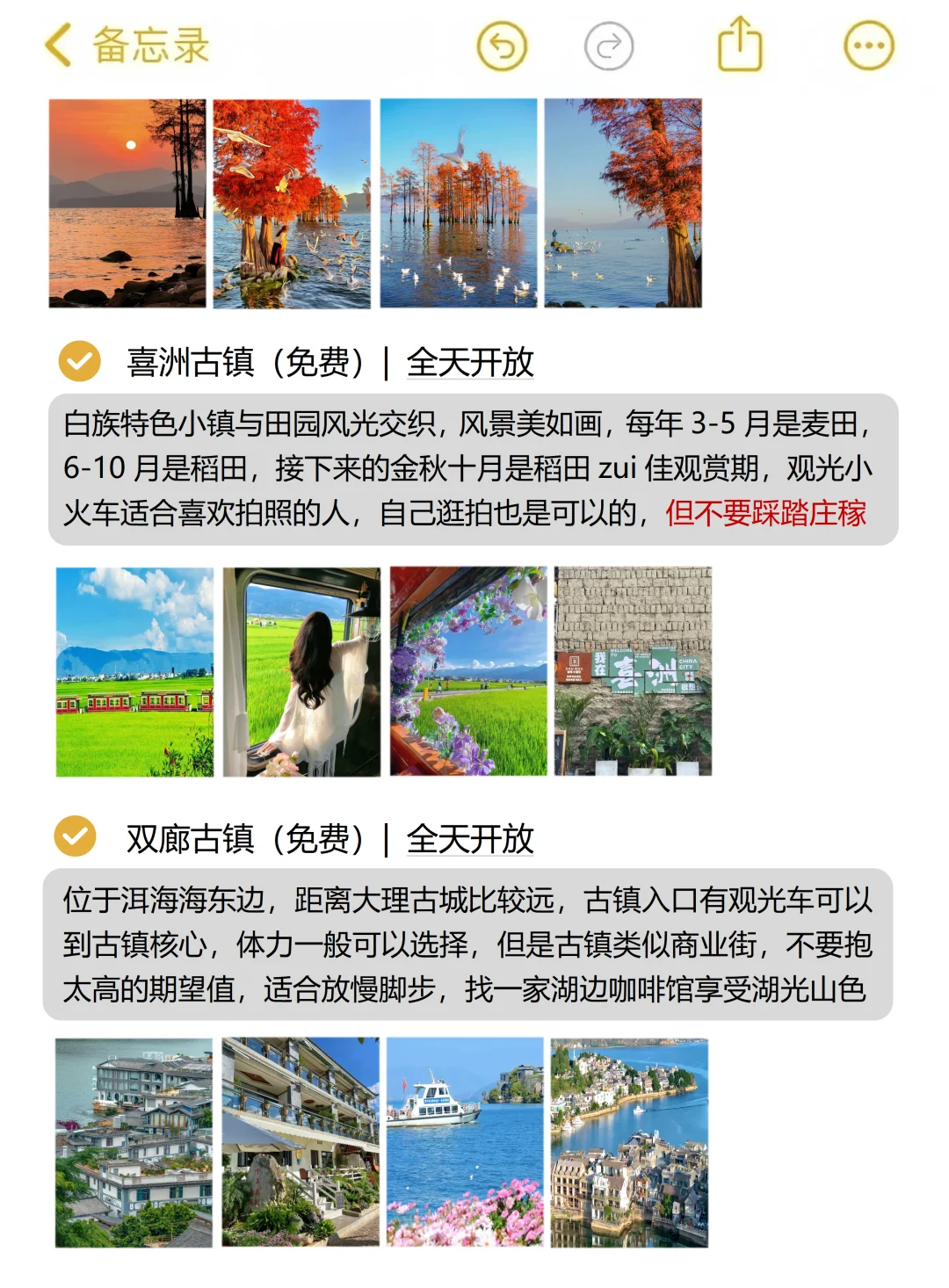 本J人做的云南旅游攻略已经next level了