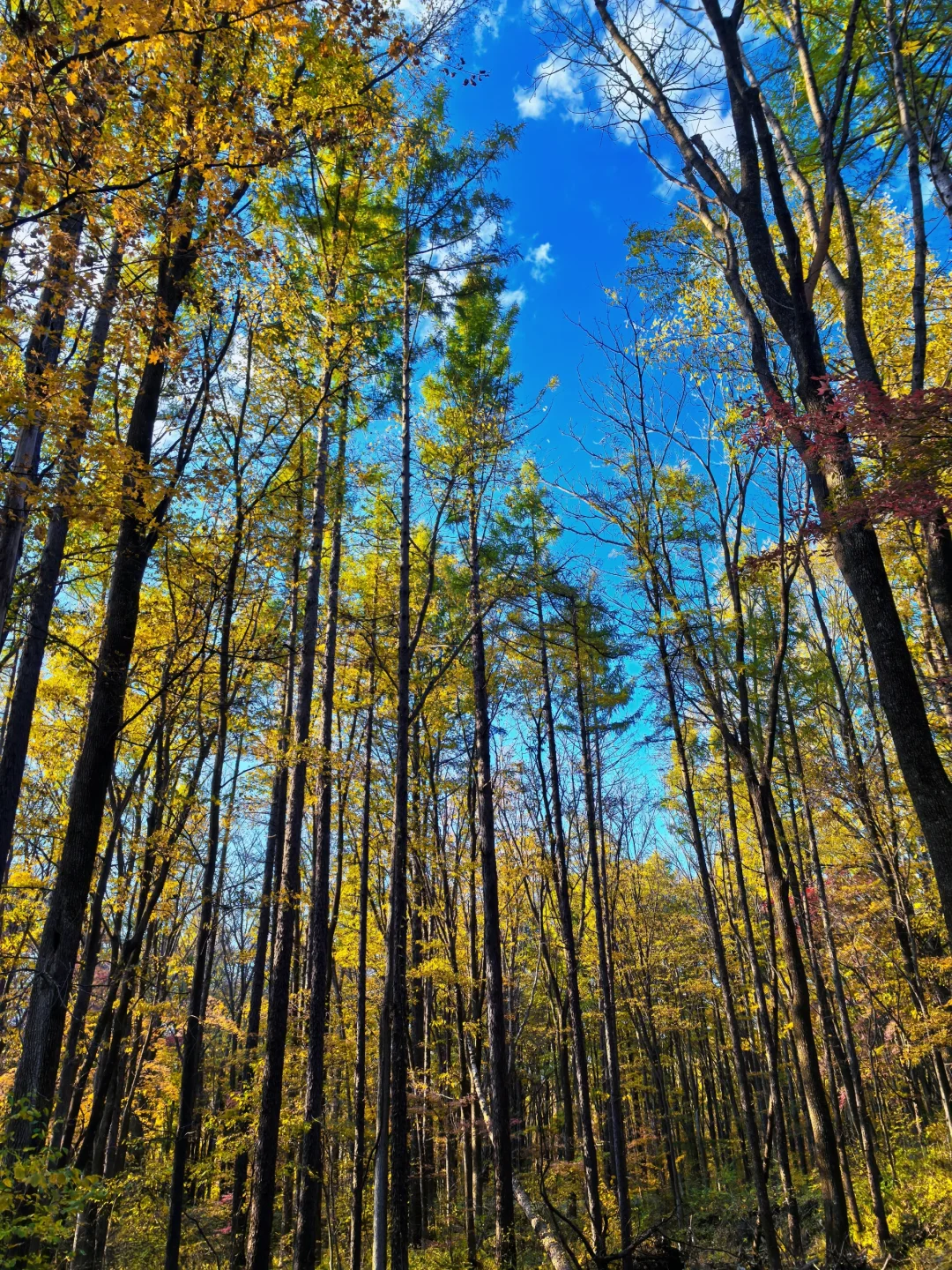 吉林通化龙湾景区游记