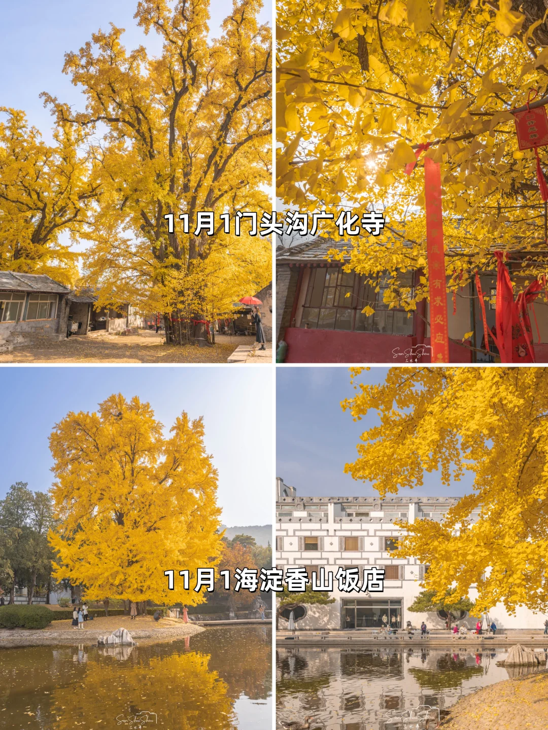 安排一个月！北京赏秋时间顺序与机位大全❤