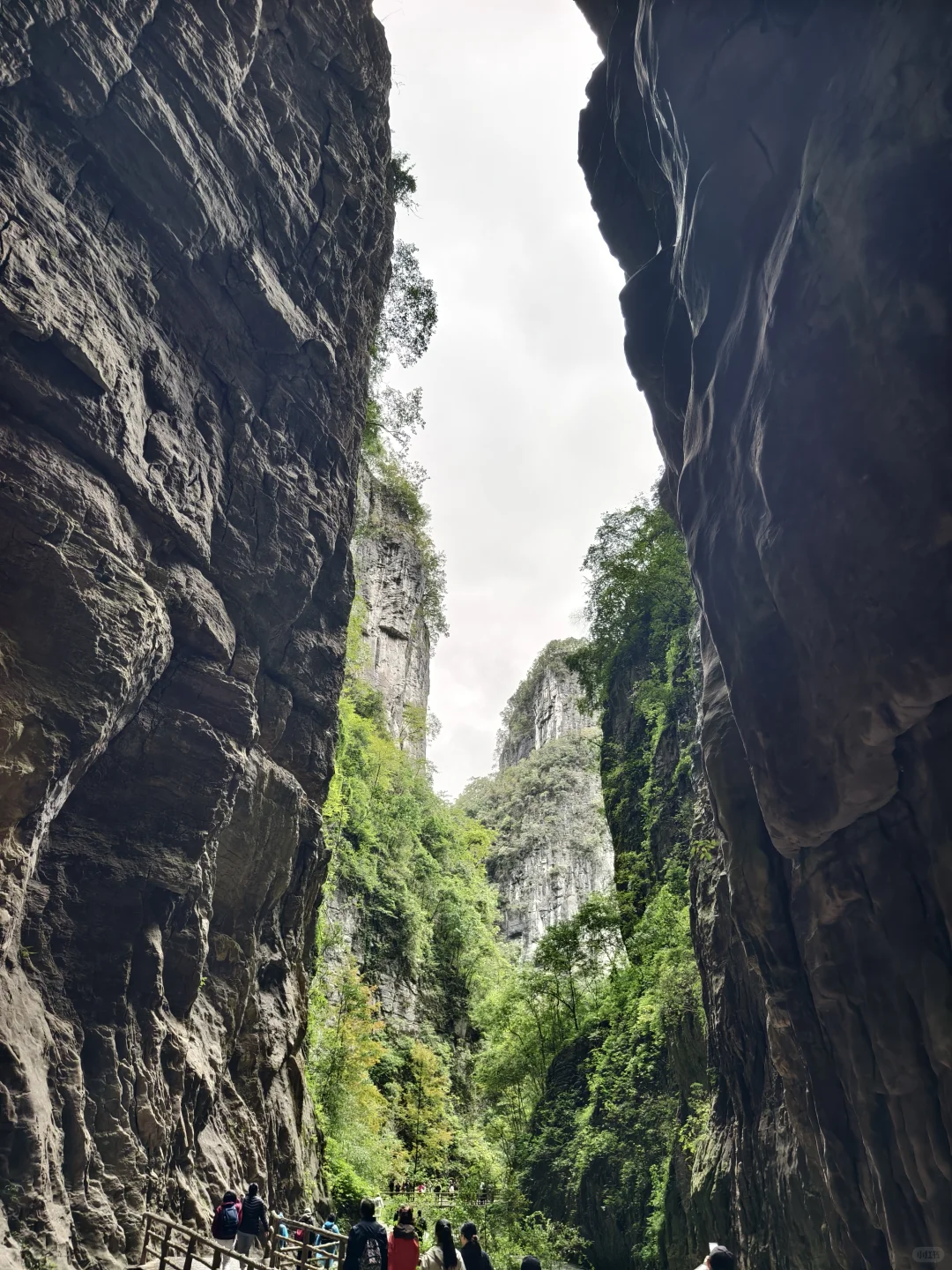 国内旅游现在急需整治的地方