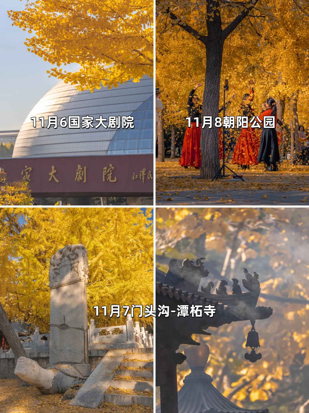 安排一个月！北京赏秋时间顺序与机位大全❤